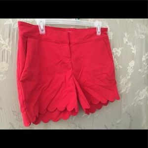 Isaac Mizrahi Size 8 Shorts